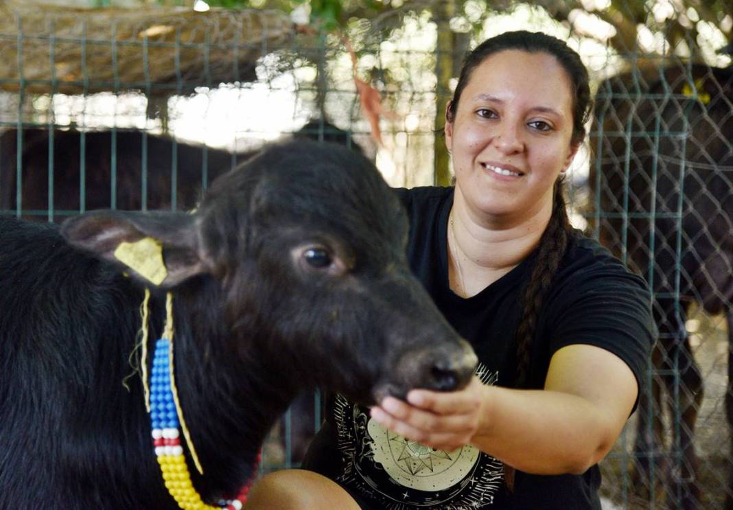 İş bulamayınca köyüne dönüp manda sütü satmaya başladı: Şimdi patron oldu! İletişim fakültesi mezunuydu, besici oldu 7